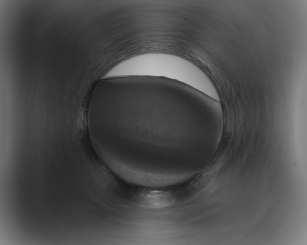 X0000088920467200706291530