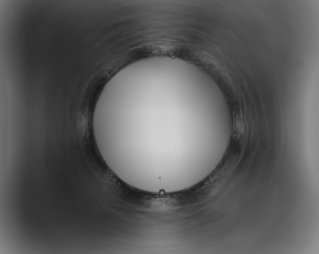X0000088920468200706291530