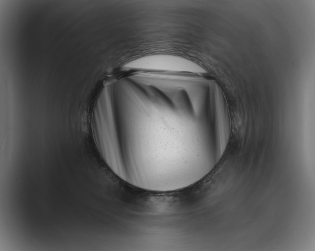 X0000088920470200706291530