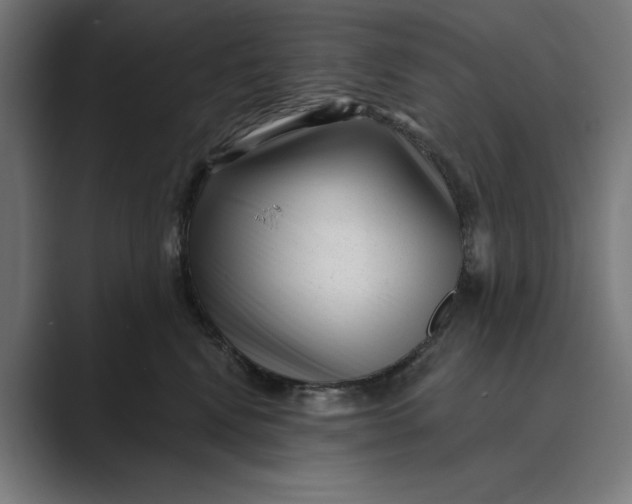 X0000088920472200706291530