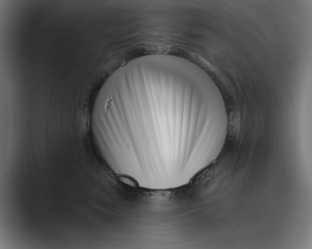 X0000088920474200706291530