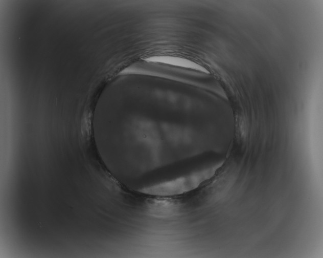 X0000088920475200706291530