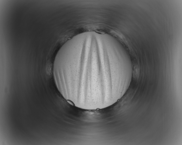 X0000088920477200706291530