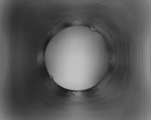 X0000088920478200706291530