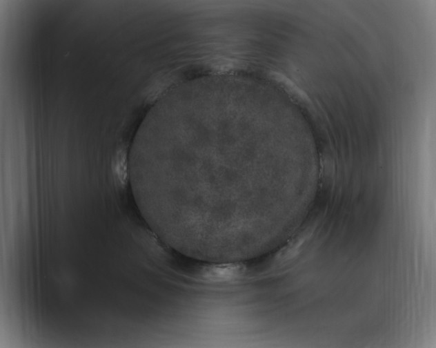 X0000088920479200706291530