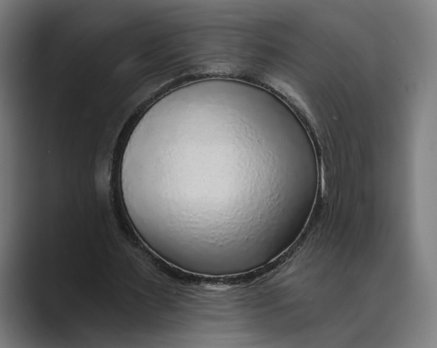 X0000088920483200706291530