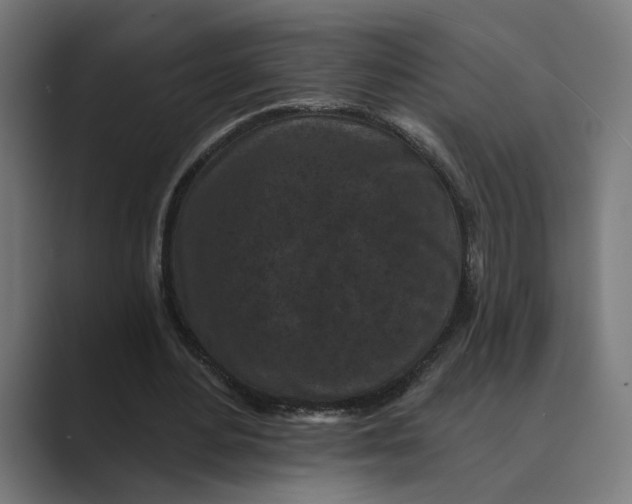 X0000088920484200706291530