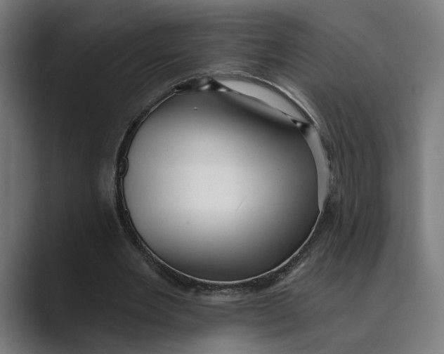 X0000088920485200706291530
