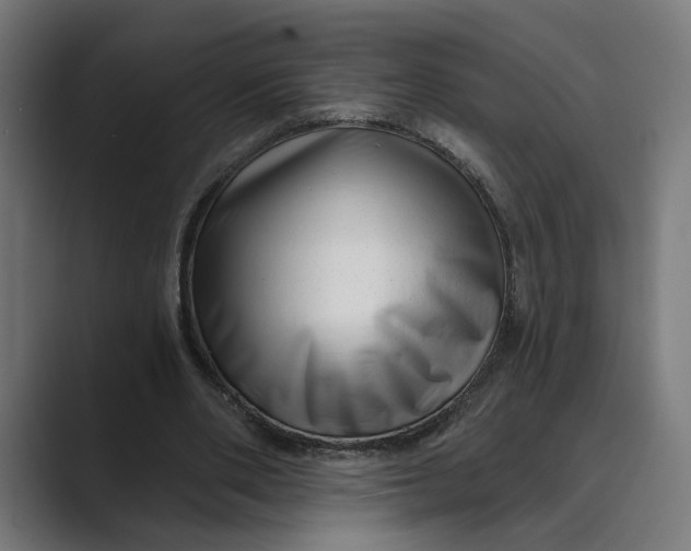 X0000088920486200706291530