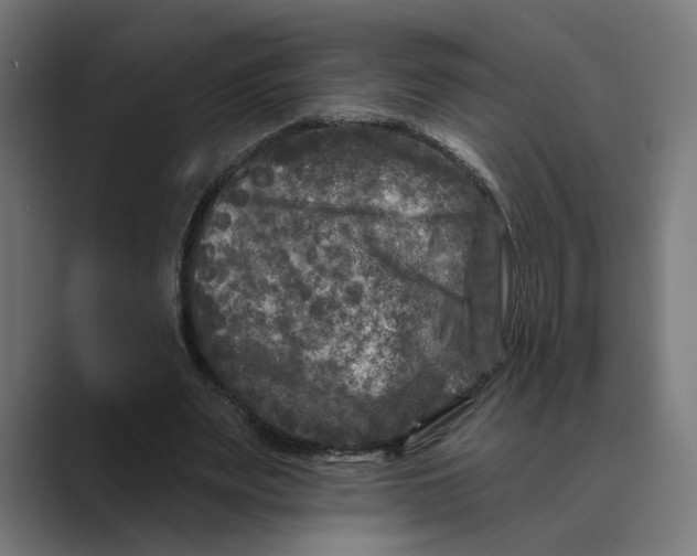 X0000088920487200706291530