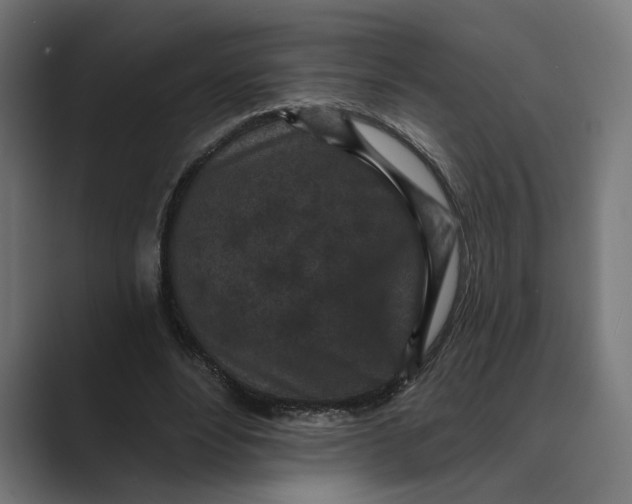 X0000088920488200706291530