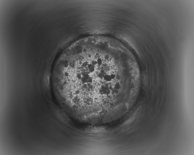 X0000088920491200706291530