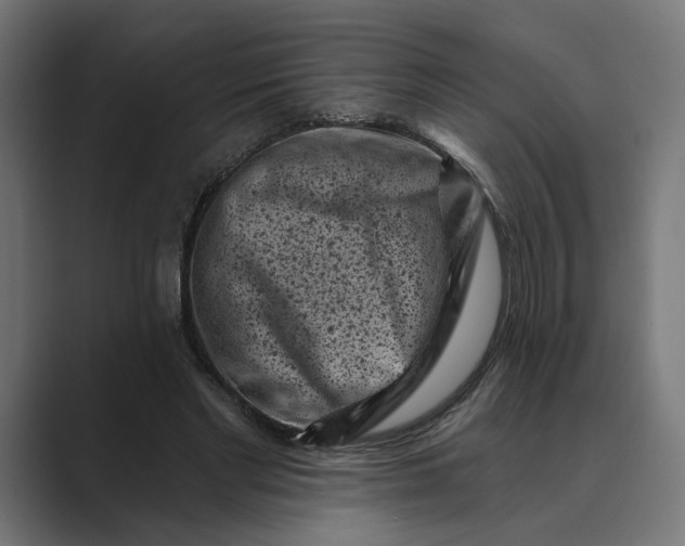 X0000088920493200706291530