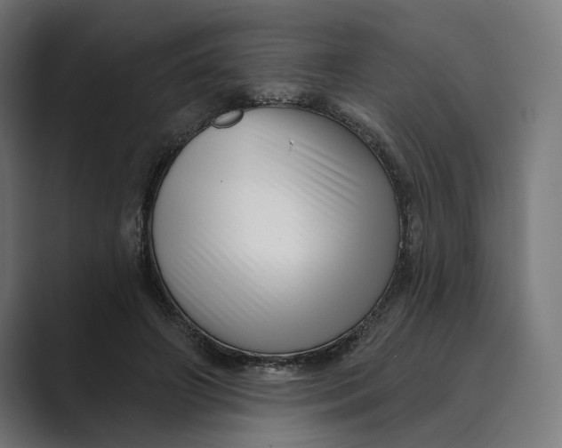 X0000088920498200706291530