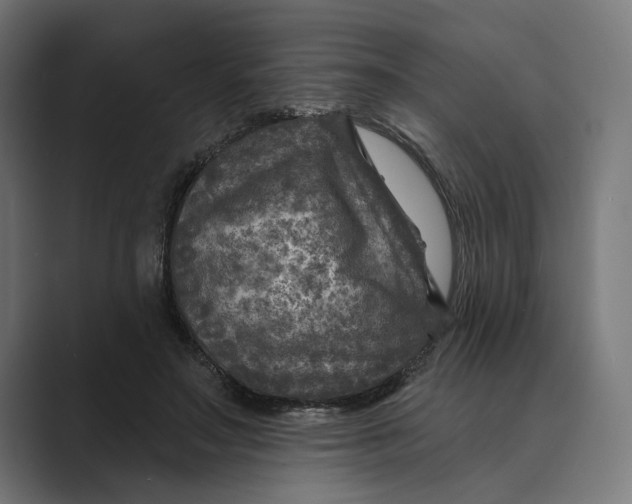 X0000088920499200706291530