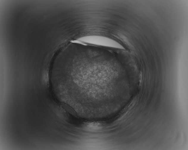 X0000088920500200706291530