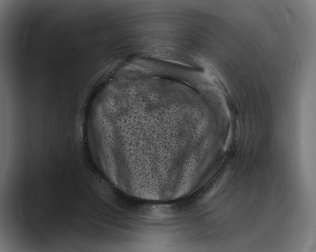 X0000088920501200706291530