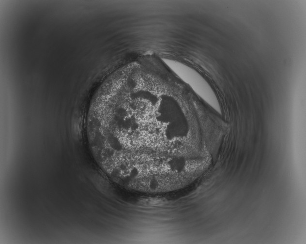 X0000088920503200706291530