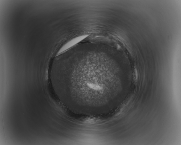 X0000088920504200706291530