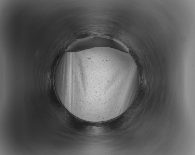 X0000088920506200706291529