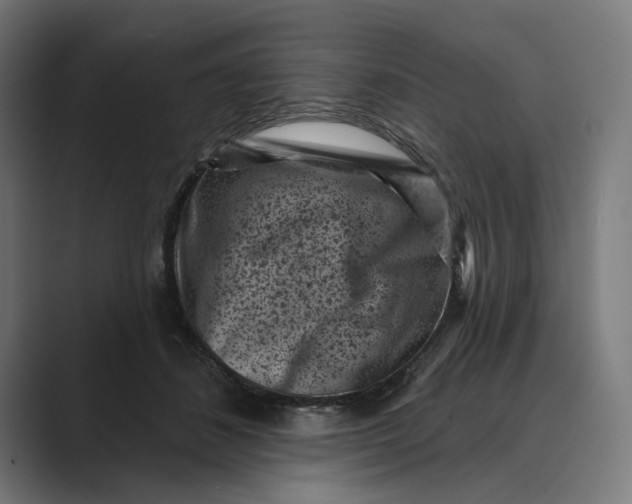 X0000088920508200706291529