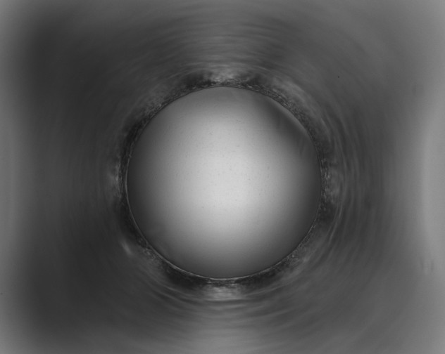 X0000088920510200706291529
