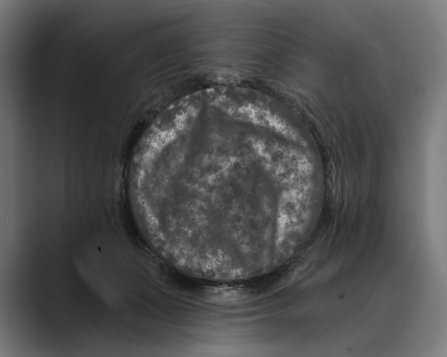 X0000088920511200706291529