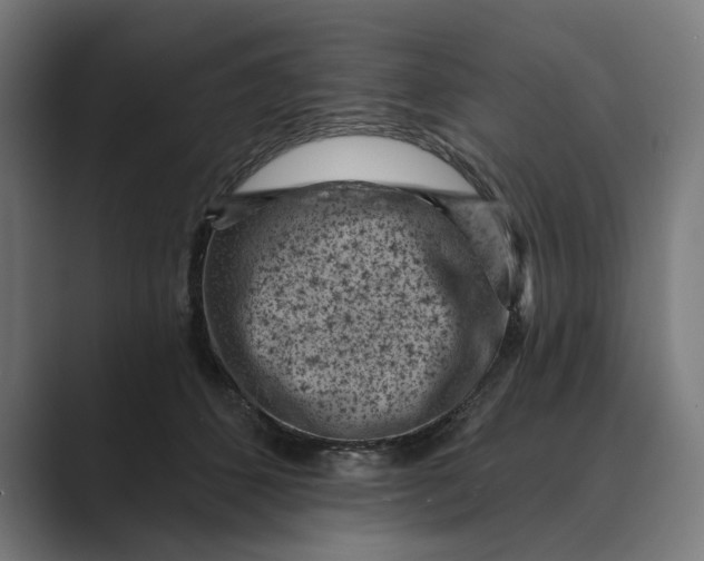 X0000088920512200706291529
