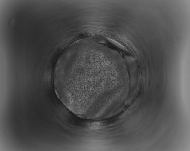 X0000088920513200706291529