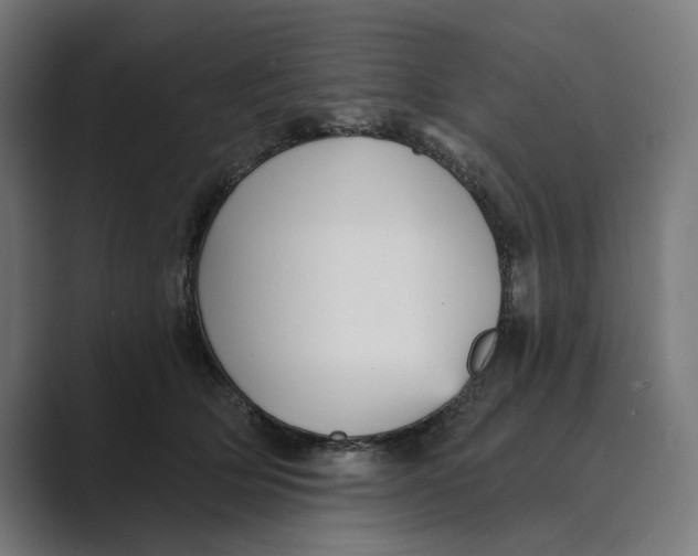 X0000088920514200706291529