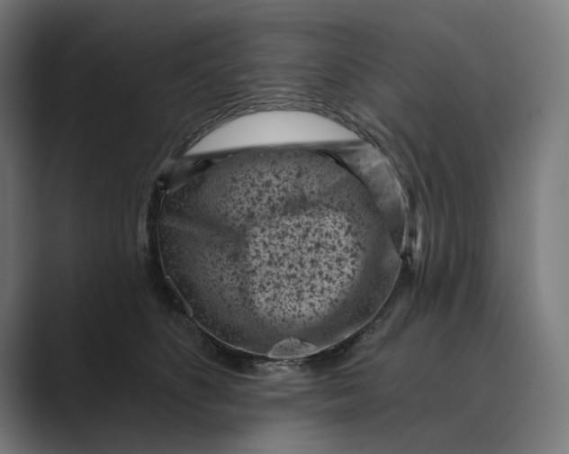 X0000088920516200706291529