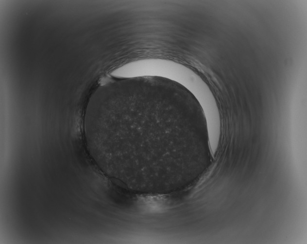 X0000088920517200706291529
