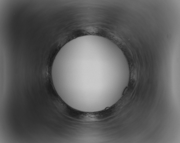 X0000088920518200706291529