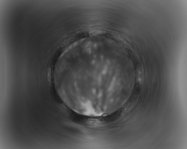 X0000088920519200706291529