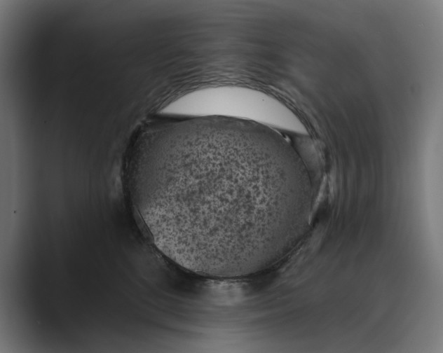 X0000088920520200706291529