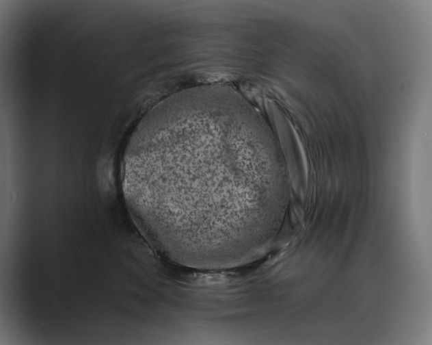 X0000088920524200706291529
