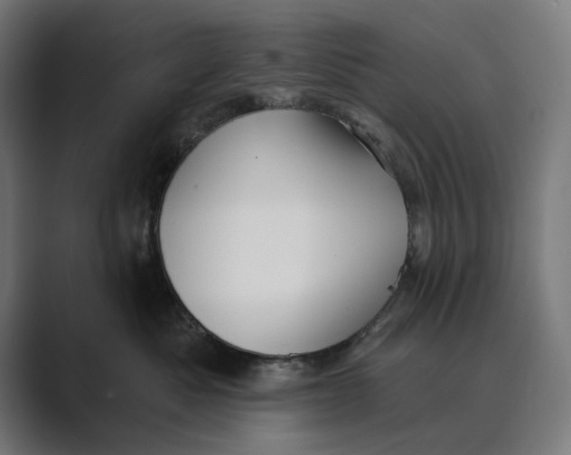 X0000088920525200706291529