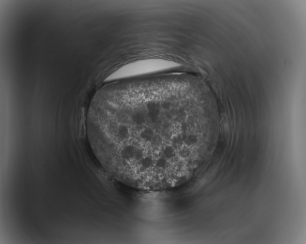 X0000088920527200706291529