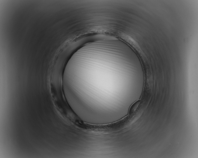 X0000088920530200706291529