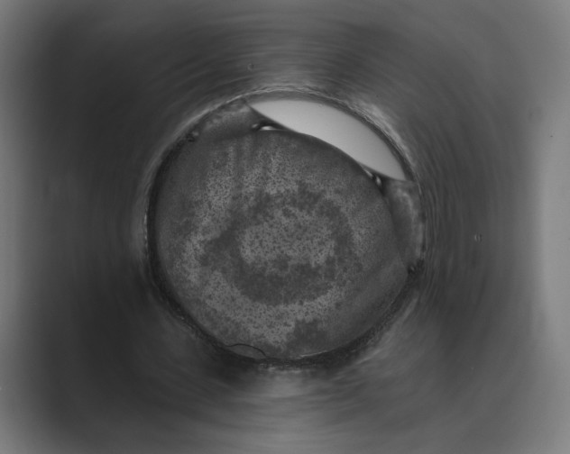 X0000088920531200706291529