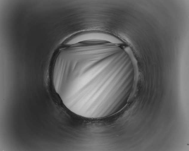 X0000088920532200706291529
