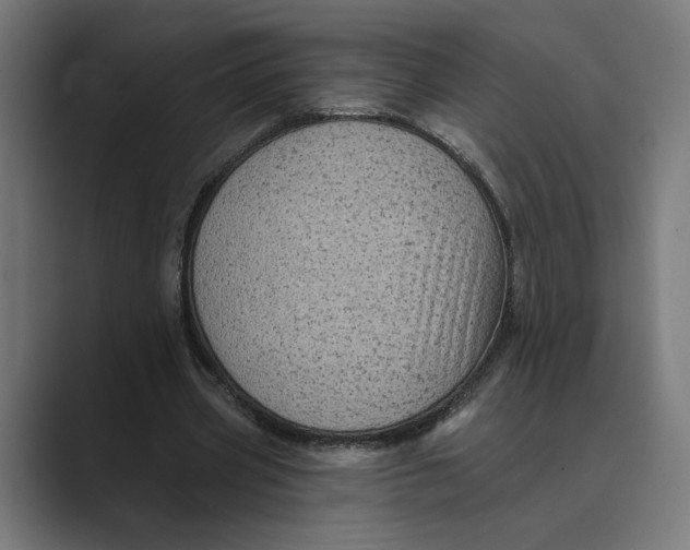 X0000088920533200706291529