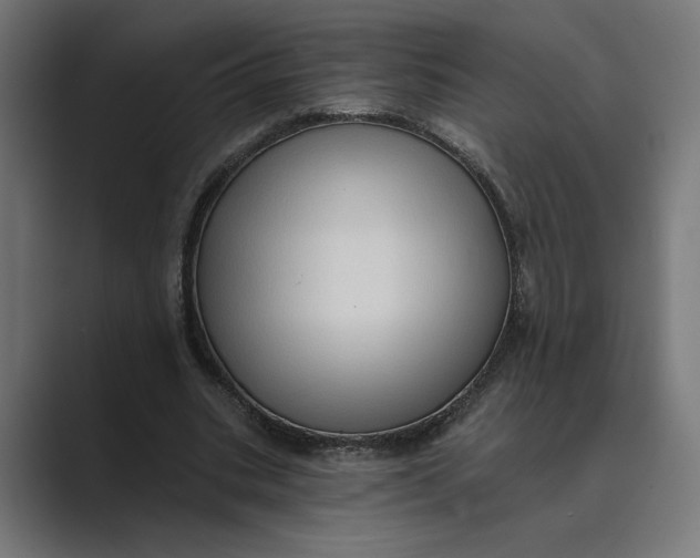 X0000088920535200706291529