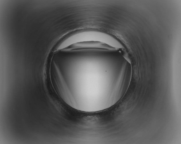 X0000088920536200706291529