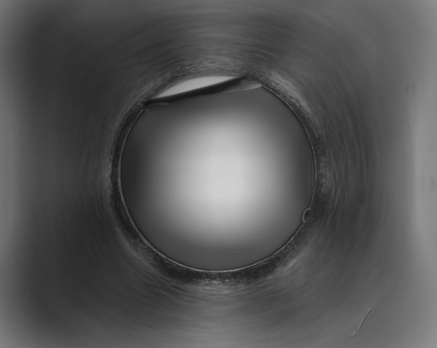 X0000088920538200706291529