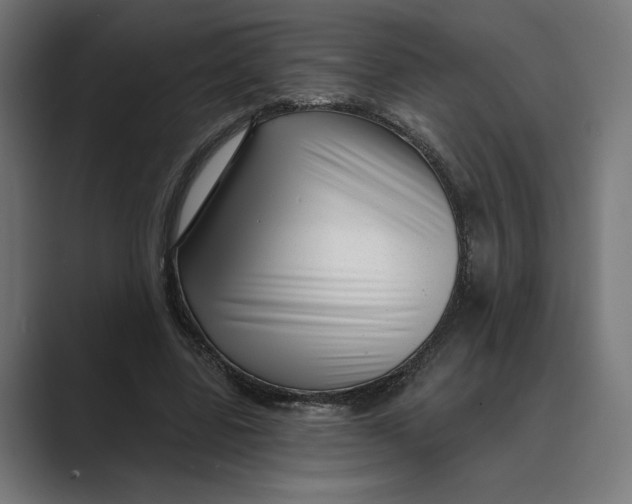 X0000088920539200706291529