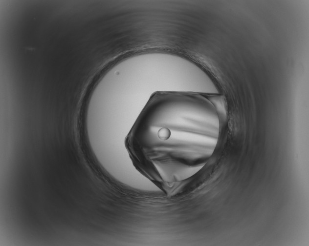 X0000088920540200706291529