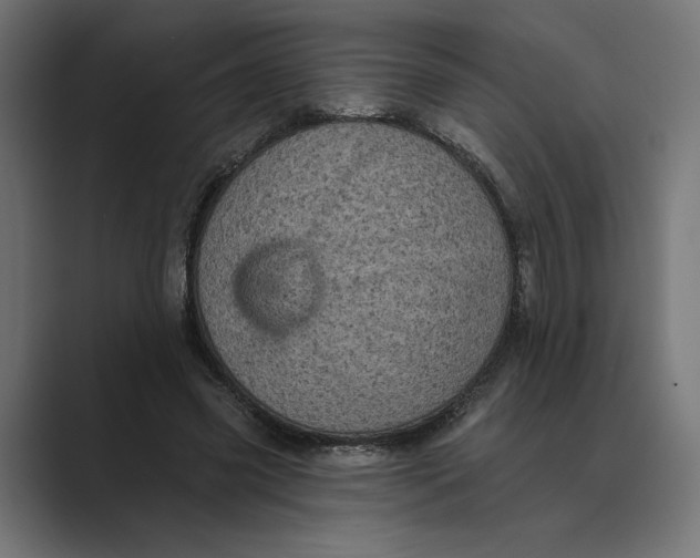 X0000088920541200706291529