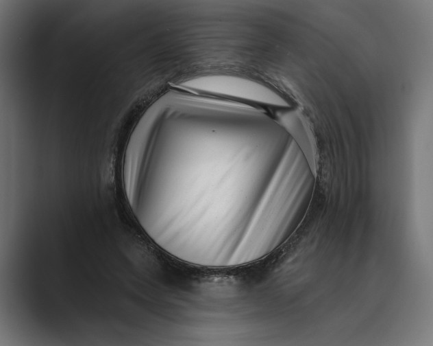X0000088920543200706291529