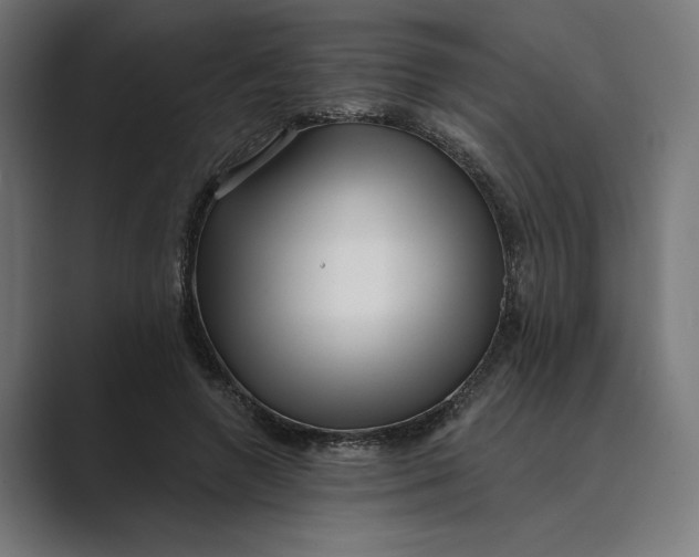 X0000088920546200706291529